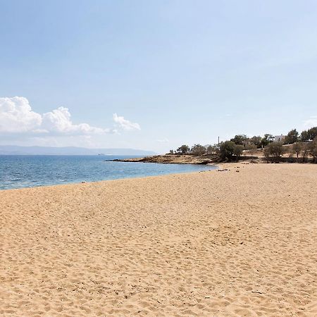 Villa San Dimitrio House On The Beach Логарас Екстер'єр фото