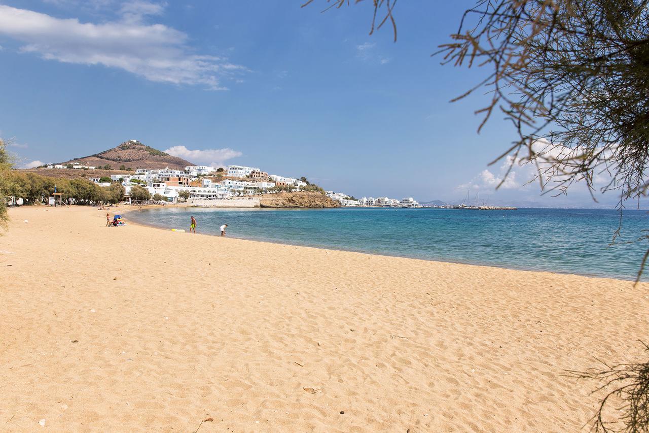 Villa San Dimitrio House On The Beach Логарас Екстер'єр фото