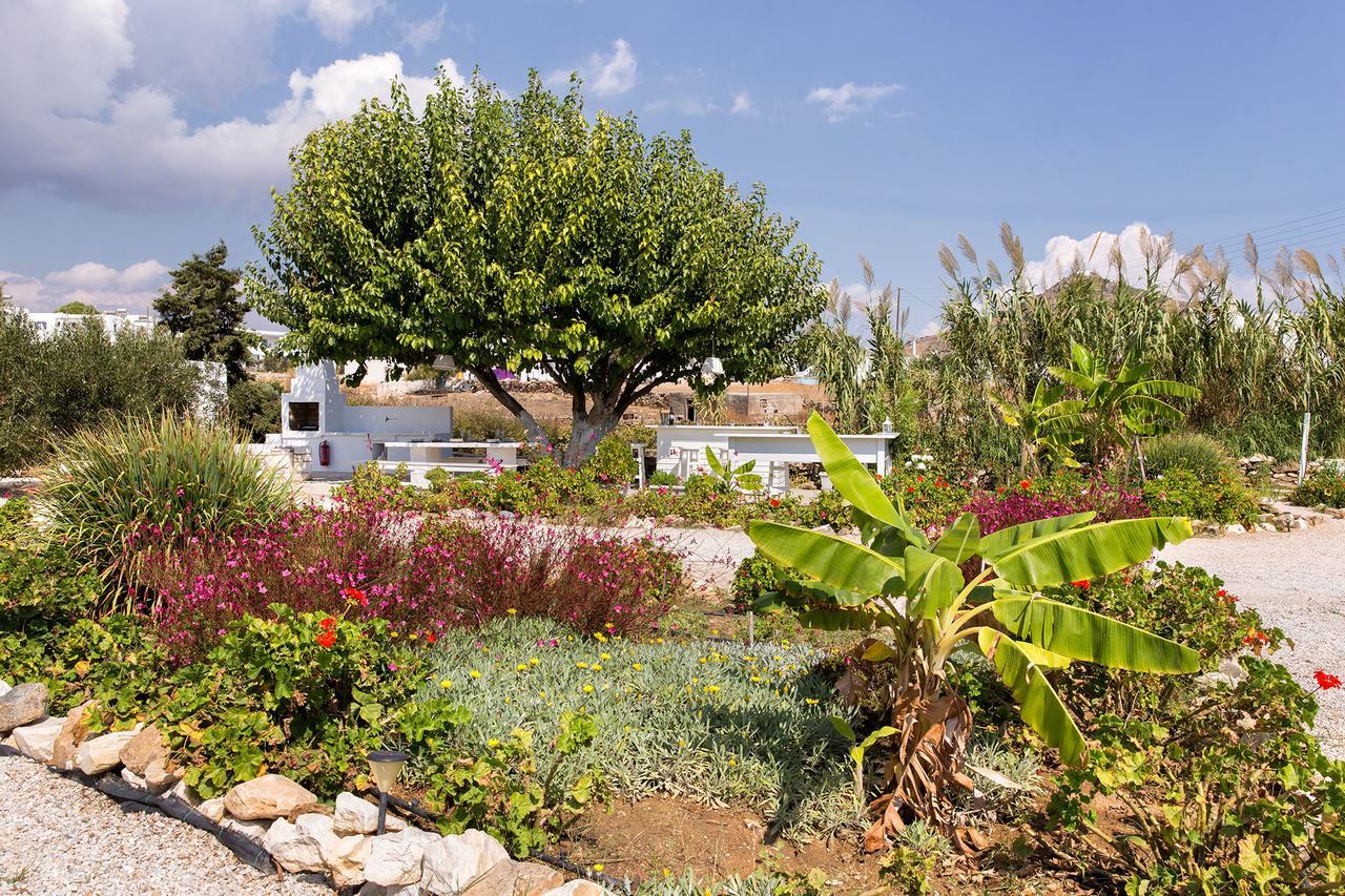 Villa San Dimitrio House On The Beach Логарас Екстер'єр фото
