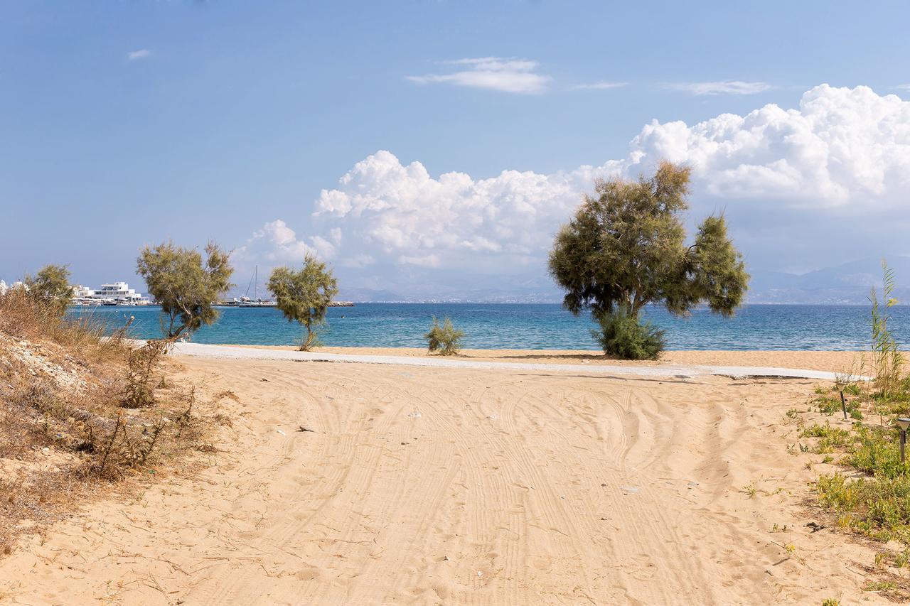 Villa San Dimitrio House On The Beach Логарас Екстер'єр фото